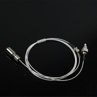 Lasergeräte Teile 450 nm 1,6W Blaufaser gekoppeltes Lasermodul zur Karies -Erkennung und Kariesbehandlung