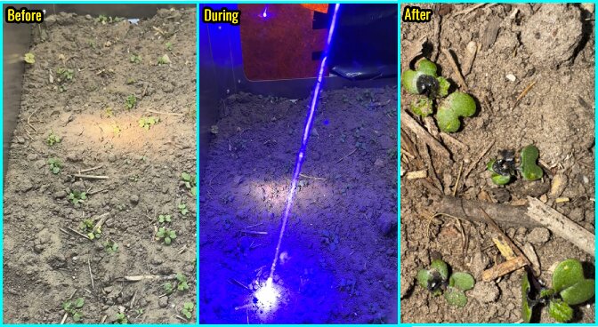 435nm 80W Lasermodul