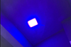  Nichia 450 nm 5,5 W 9mm Blue Laser Diode mit FAC -Quadratstrahl für Laserstecher