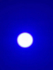 Lasergeräte Teile 450 nm 1,6W Blaufaser gekoppeltes Lasermodul zur Karies -Erkennung und Kariesbehandlung
