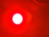 105um NA0.22 Fasergekoppelt 638 Nm 500 mW Red Laser Diodenmodul für medizinische Tests